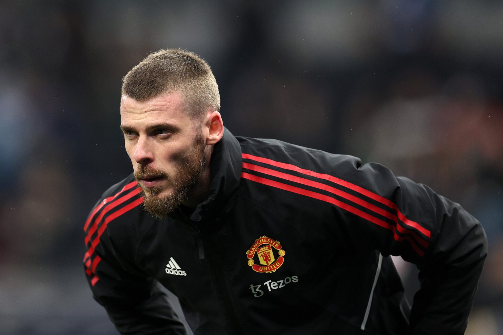 de gea fiore